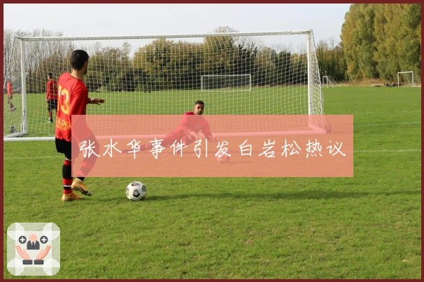 张水华事件引发白岩松热议