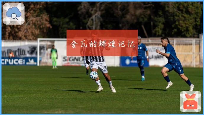 舍瓦的辉煌记忆