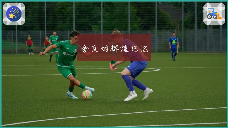 舍瓦的辉煌记忆